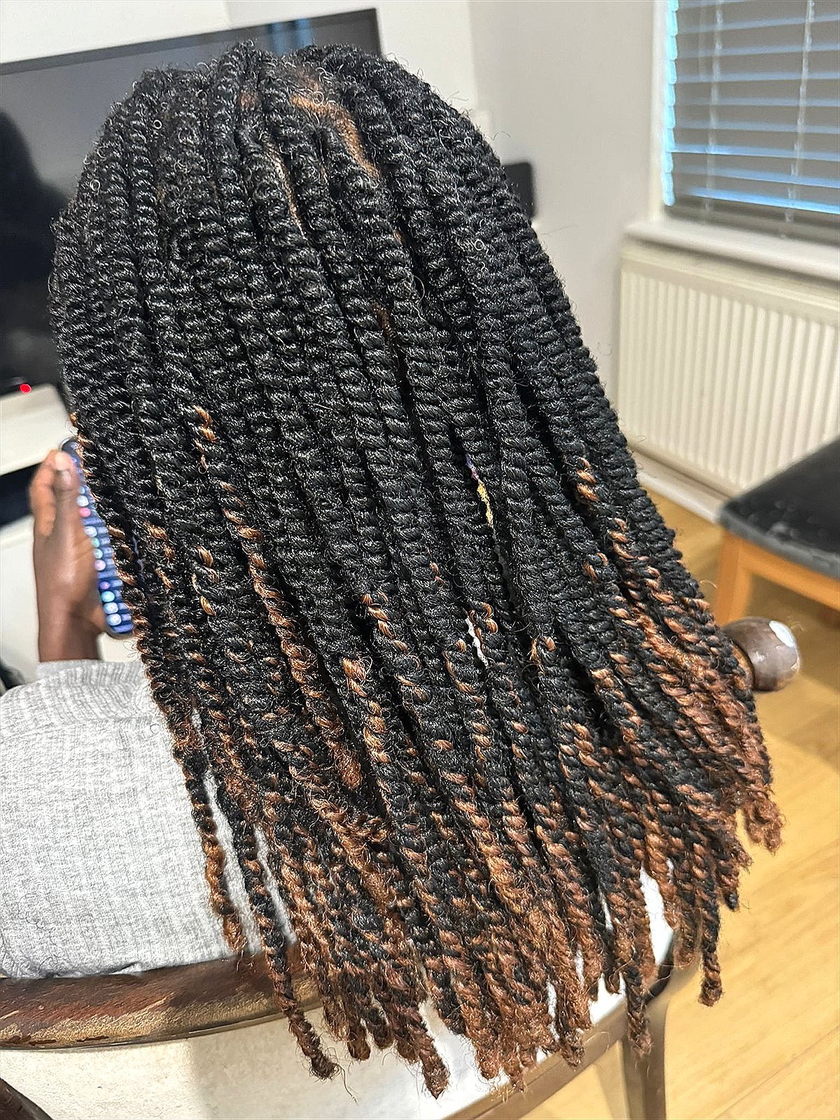 Two-tone braids styled at Sandriq Braids Hair Studio